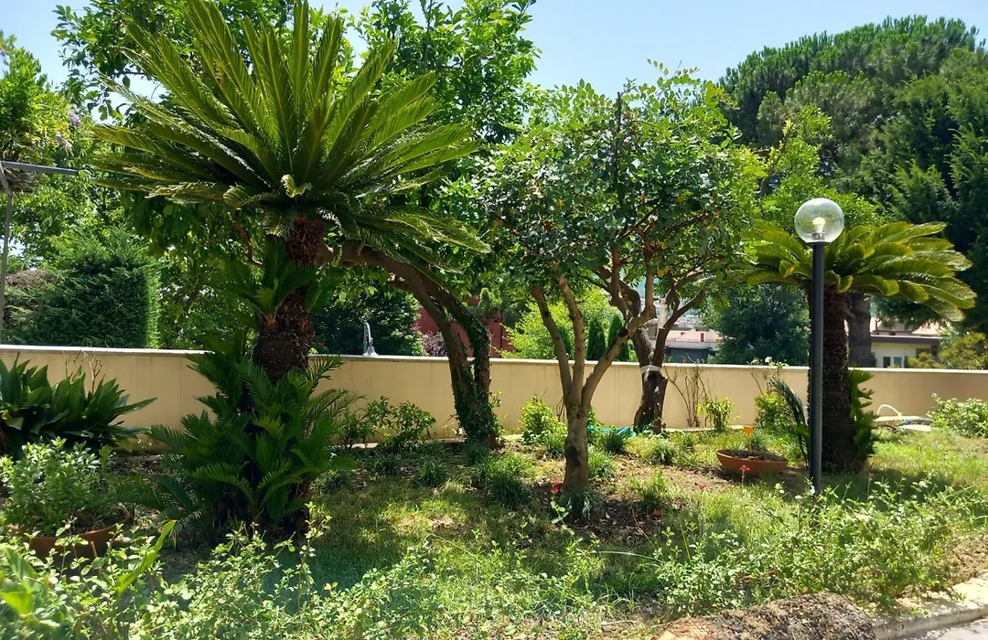 Villa Maria Cristina d'Amico - Il Germoglio Onlus-1